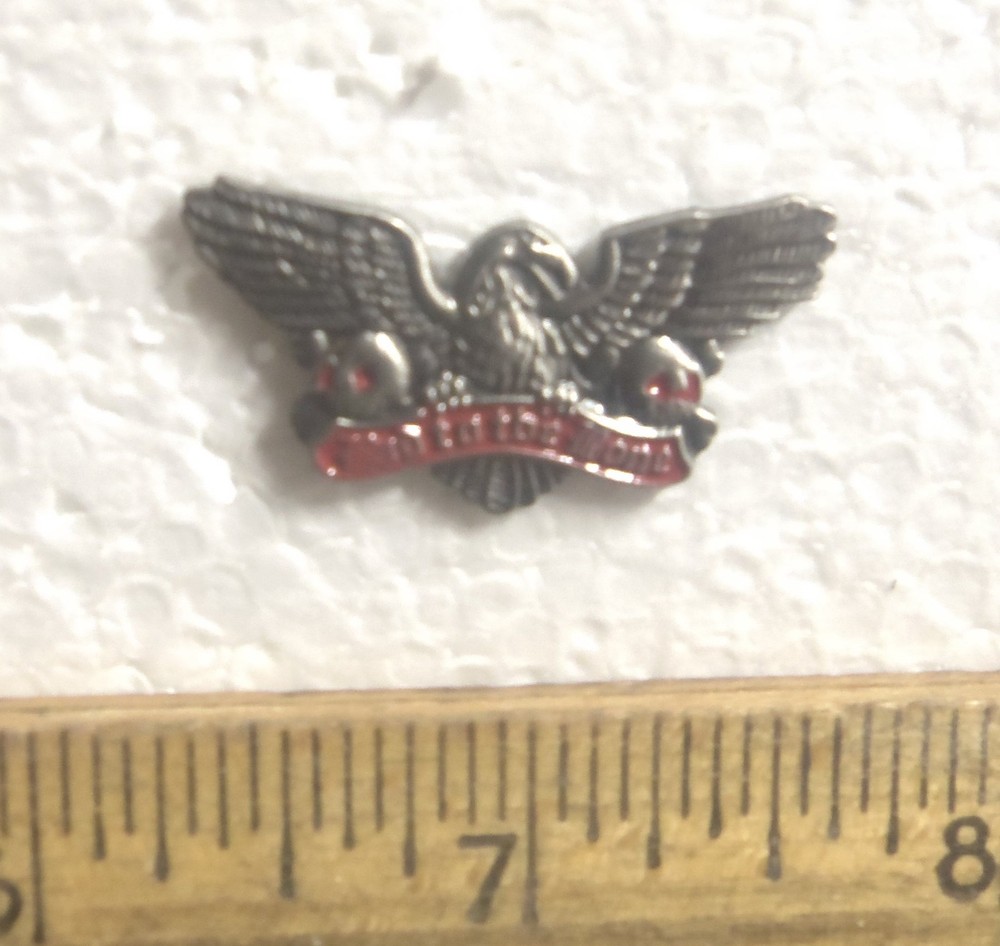 Bad to the Bone Pin