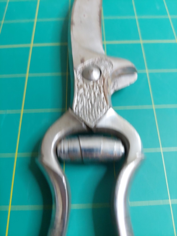 Vintage Angesa Italy 10” Vineyard Grape Poultry Pruning Shears Winery Eagle