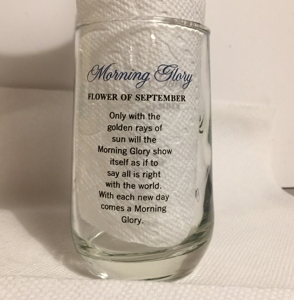 Morning Glory September Drinking Glass Tumbler