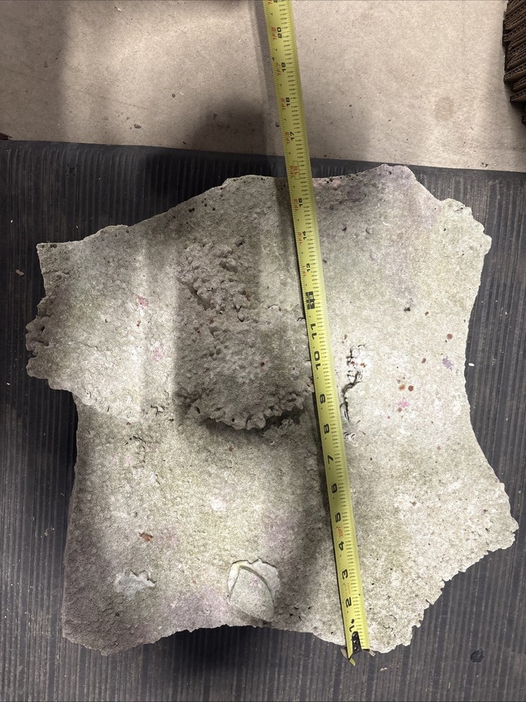 Large Plate Rock
