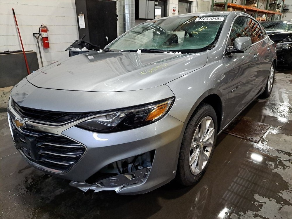 2023 Malibu Jack Sku#4338217