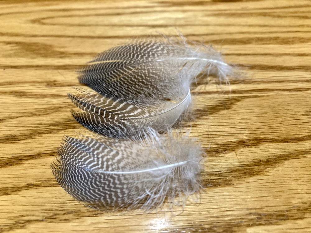 100 Gadwall Flank Feathers - Fly Tying