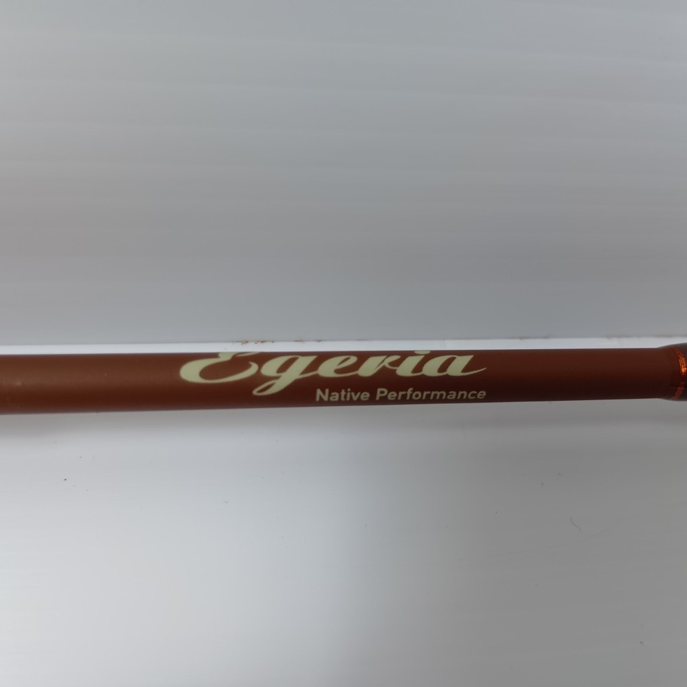 PALMS Lure rod EFNS-46XUL
