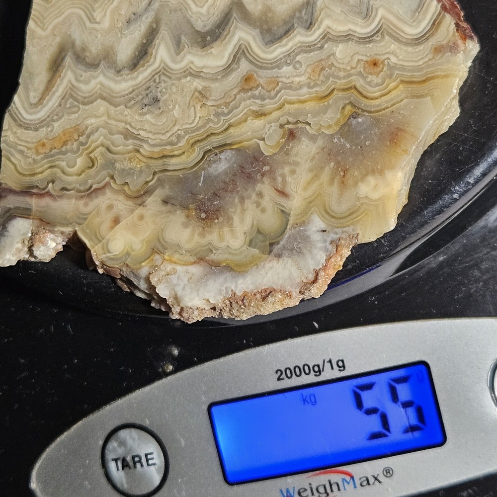 Laguna Lace Agate Slab Mexico 55 Grams
