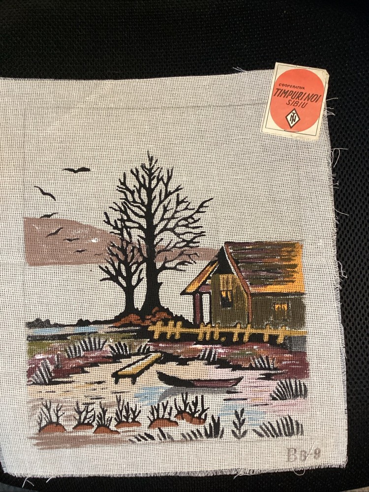 Vintage Hand Painted Needlepoint