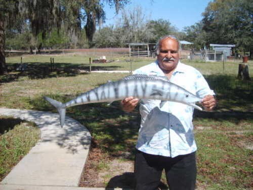 Wahoo Replica 57 Inch Half  Mount Call 352-457-9030