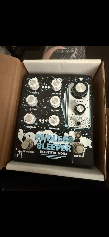 Beautiful Noise Effects Endless Sleeper II Dual Delay