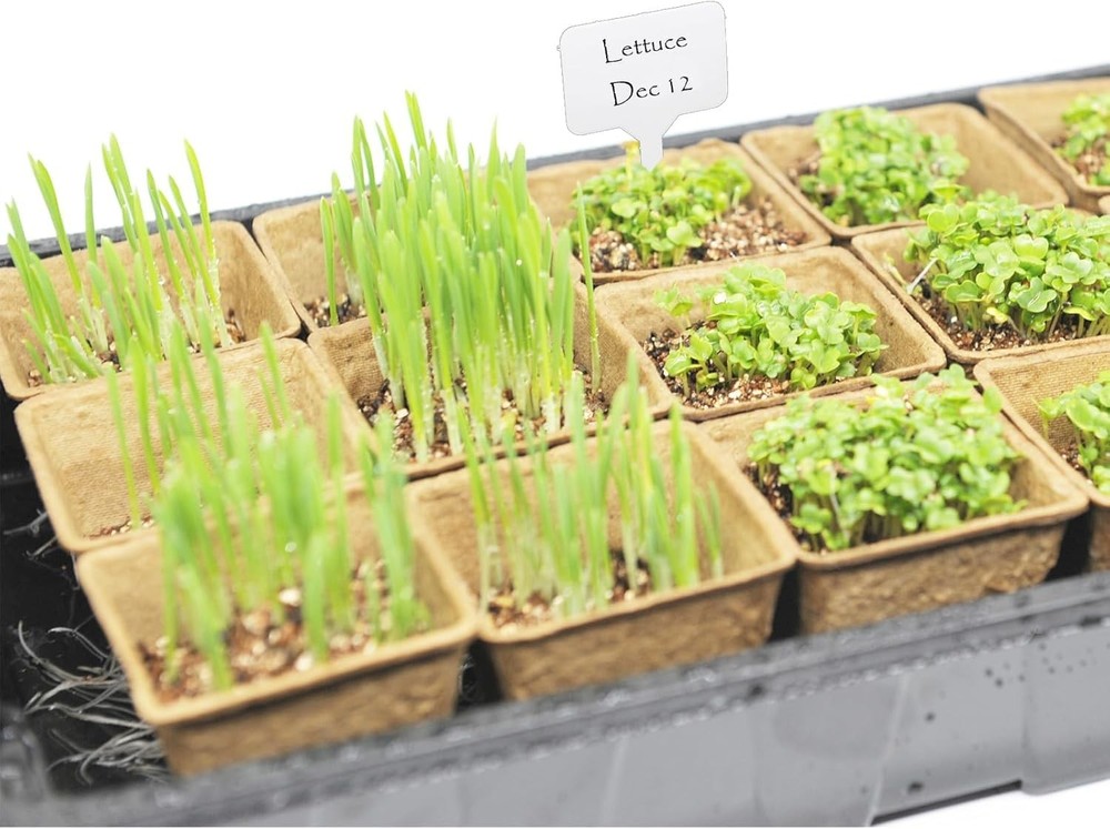 Seed Starter Kit with 100 Peat Pots for Seedlings Seed Starter Tray, 5 Plasti...
