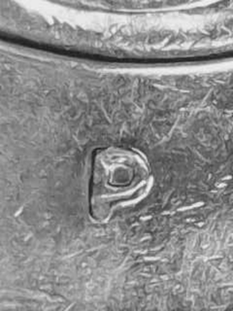 2006P Canada Quarter Dollar With Errors!