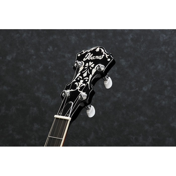 Ibanez B200 5 String Resonator Banjo