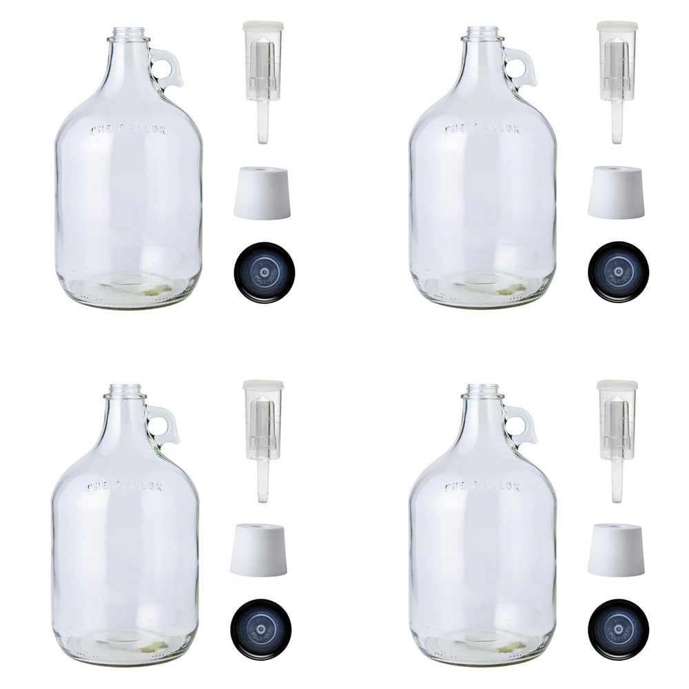 4-Pack 1G Clear Glass Jugs with Polyseal Caps, 6.5G Rubber Bungs & 3-Piece Airlo