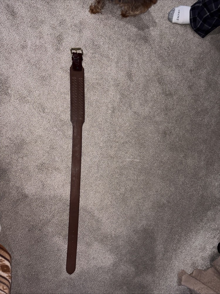 Ammo Belt All Leather