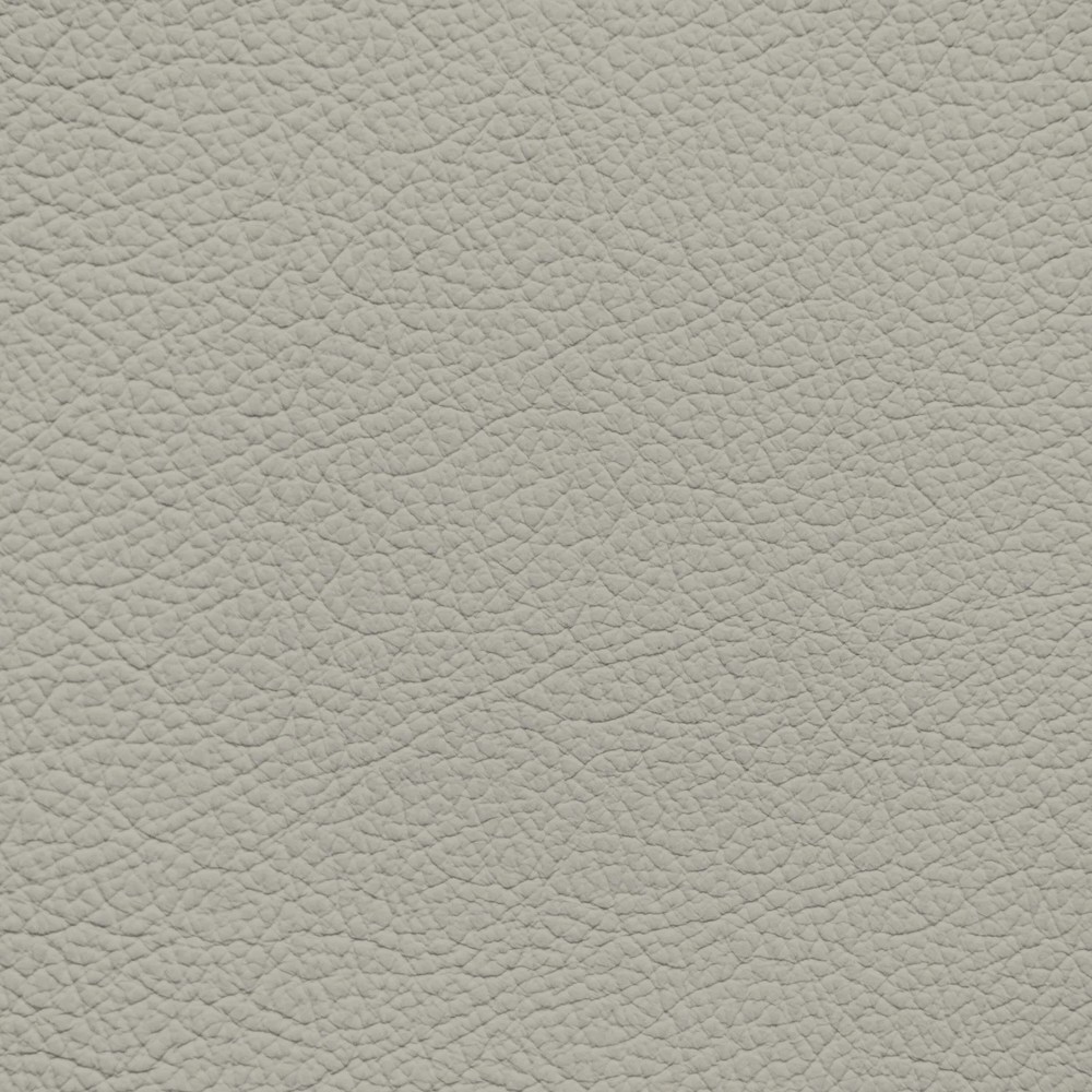 GM Opal Grey Leather Dye