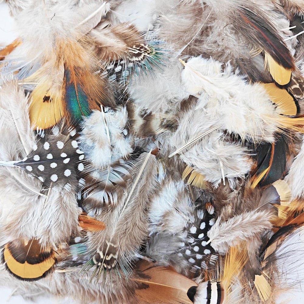 200PCS Natural Assorted Feathers 10 Styles for Dreamcatcher Crafts Decorations