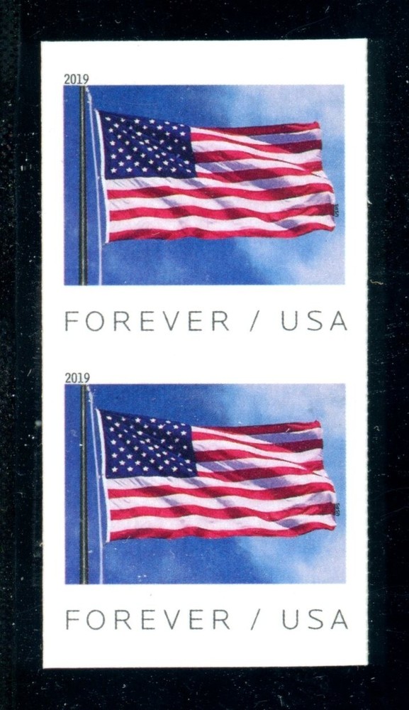 IMPERFORATE ERROR Coil Pair Scott #5343a, 2019 (55c) Forever Flag w/PSE Cert