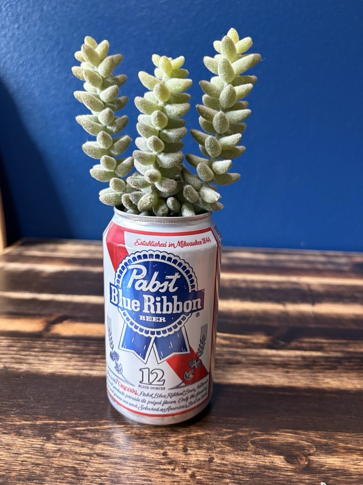 PBR Godzilla Beer Can Flower Planter