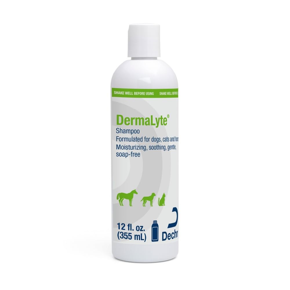 Shampoo, 12 Ounce