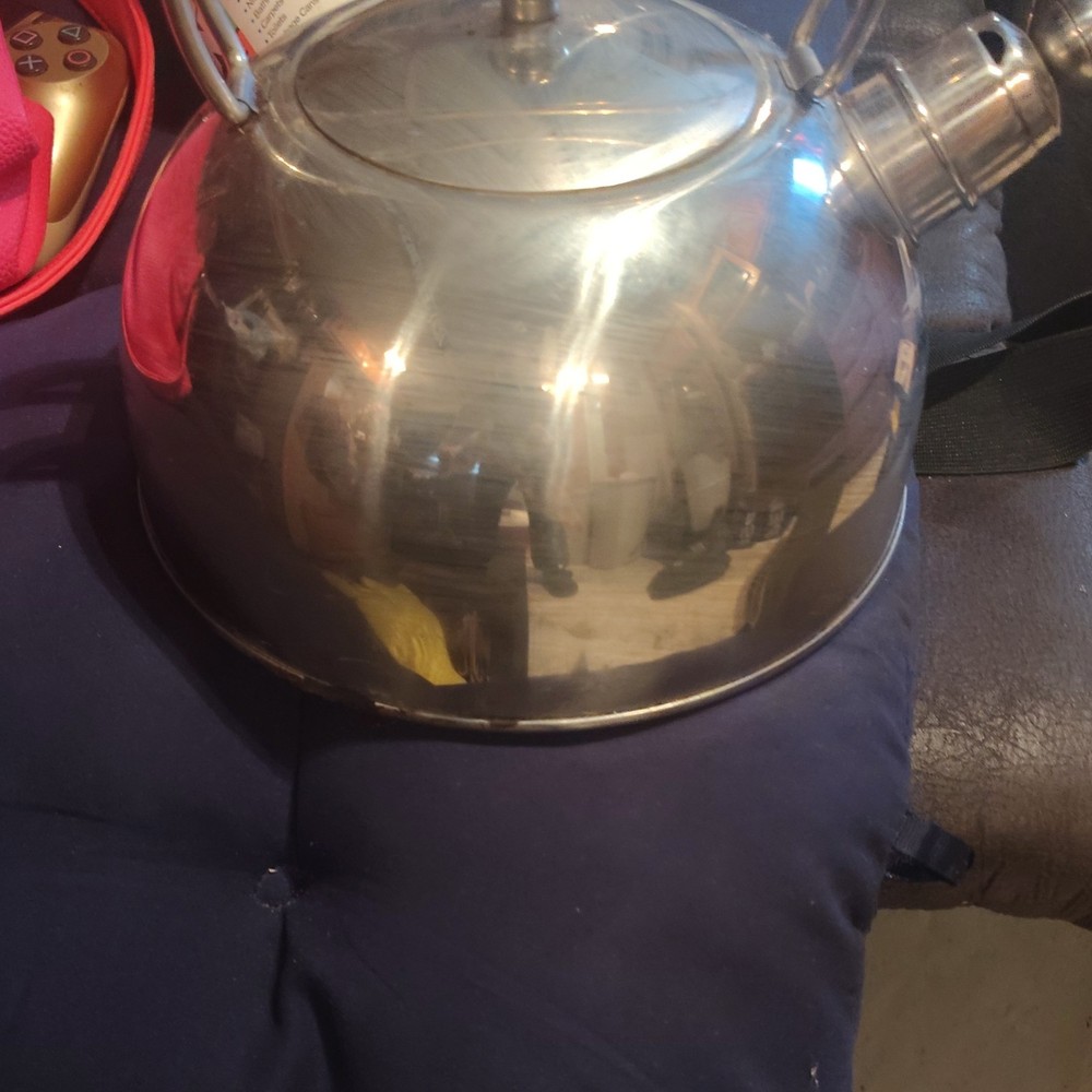 Stainless Steel Whistling Tea & Whistling Kettle Silver Manual Power Source