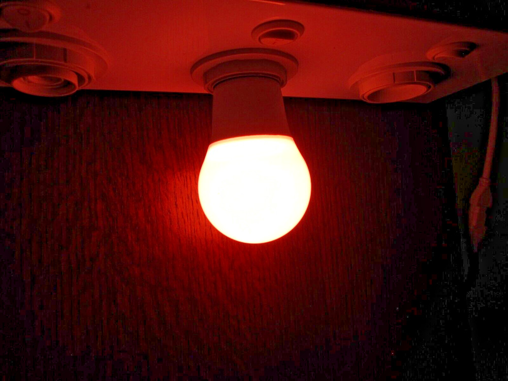 Four (4) Miracle LED Red Spectrum Indoor Blooming Grow Light Bulb