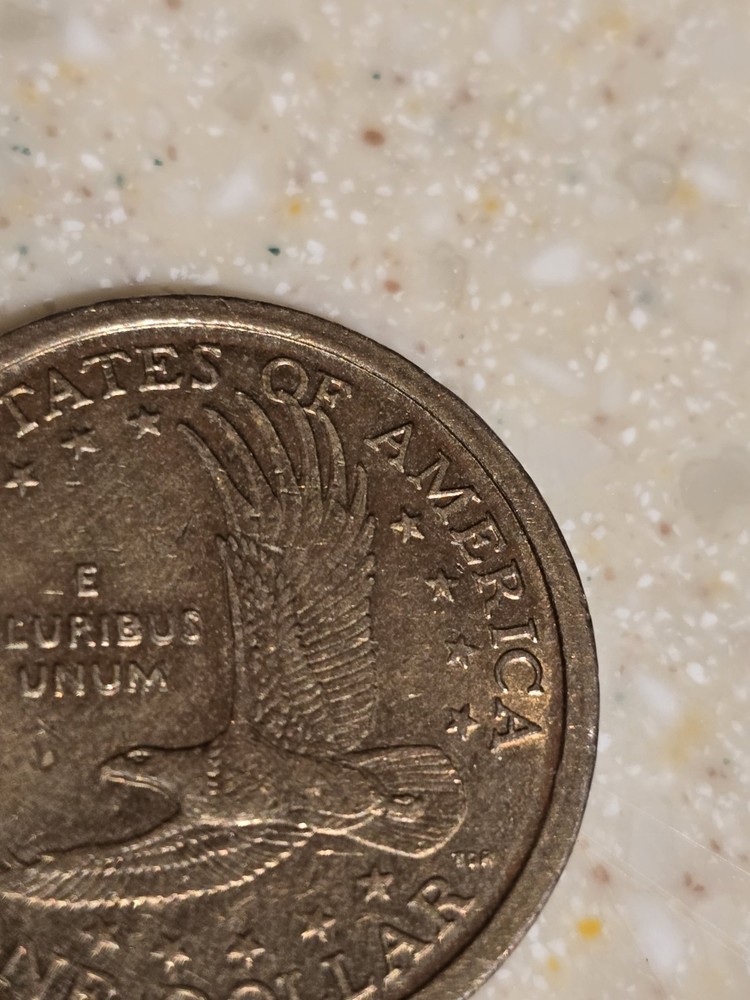 2000 P Sacagawea Double Die Error