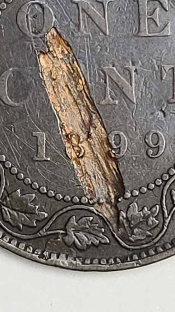 Canada 1899 Large Cent Lamination Error (Invt840)