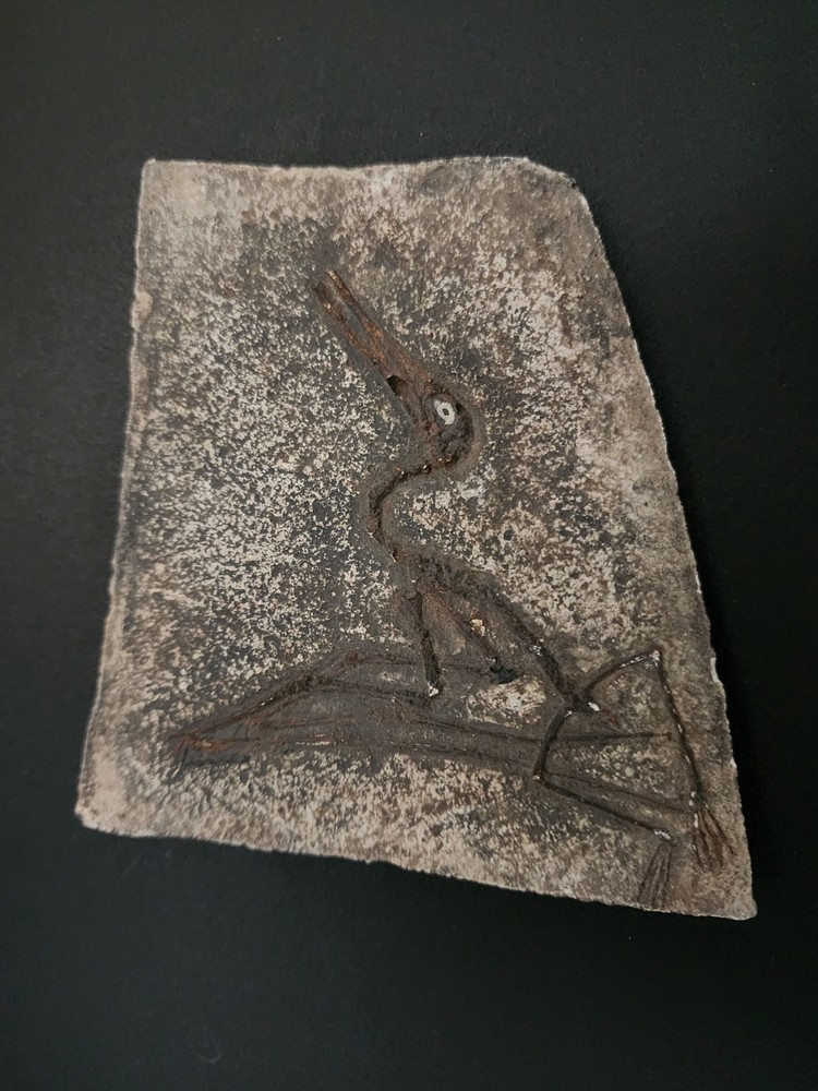 Fossil Replica Educational Displays - pterosaur skeleton, reptile footprints