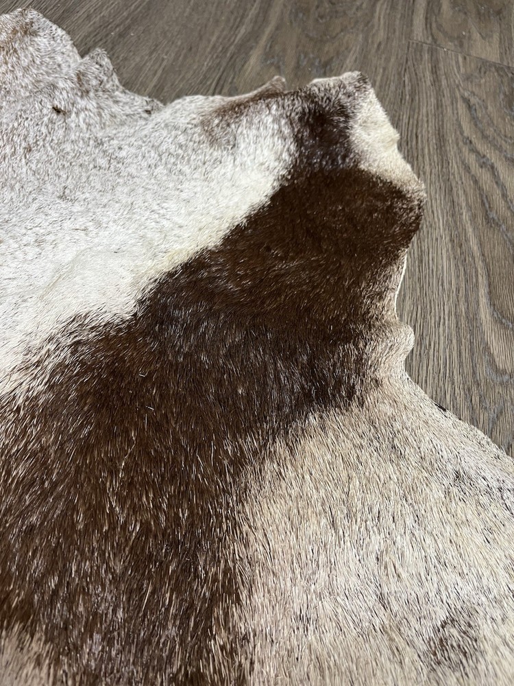 African Gemsbuck Antelope 1/2 Hide Long