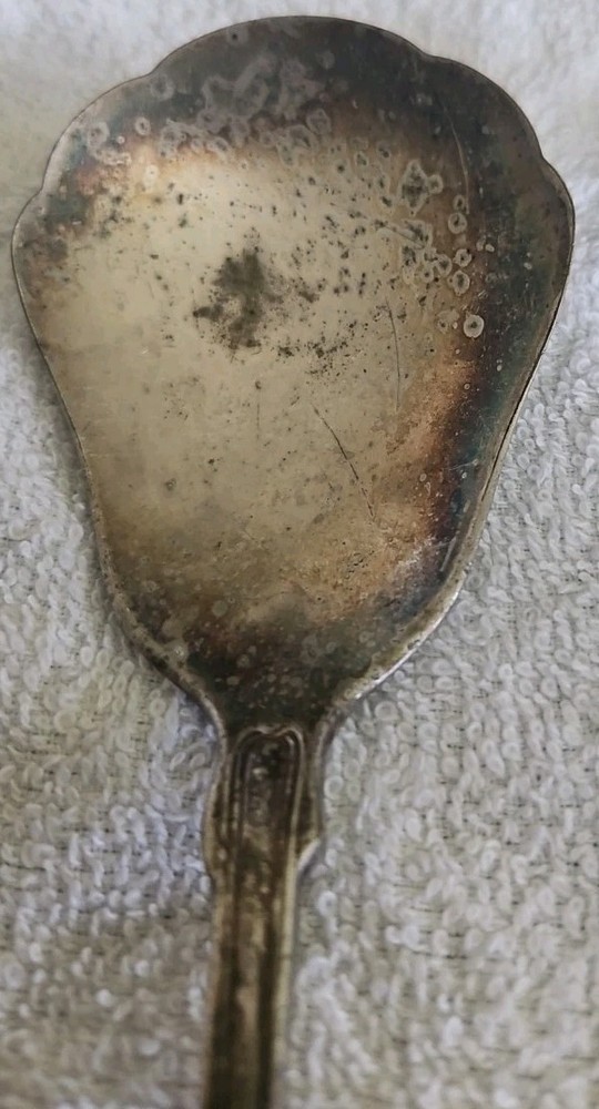 Oneida Community Silverplate SILVER SHELL 2 Piece Hostess Serving Set
