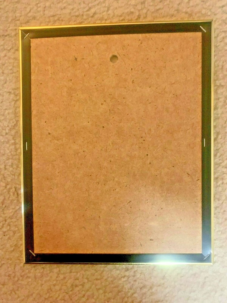 Monkey print in frame: “Silent But Deadly"