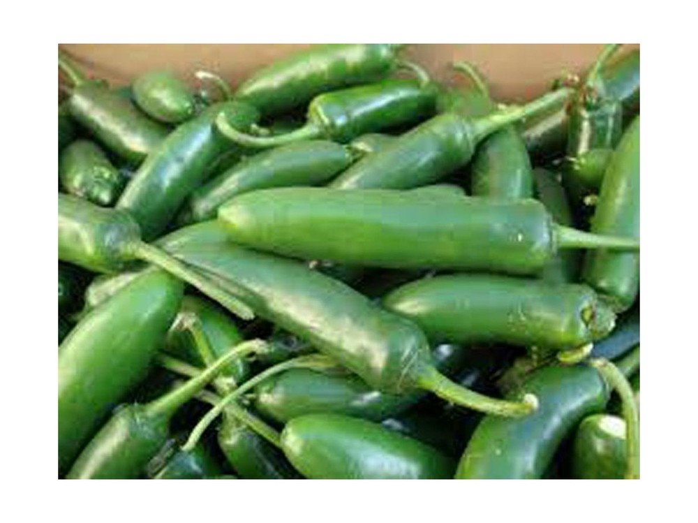 Serrano Pepper, Long RED Thin, Heirloom, Grown 25+ Seeds