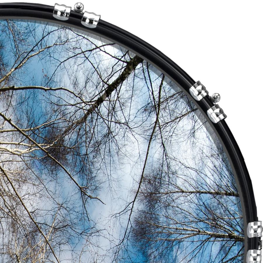 20" Custom Bass Kick Drum Front Head Graphic Graphical Trees 2