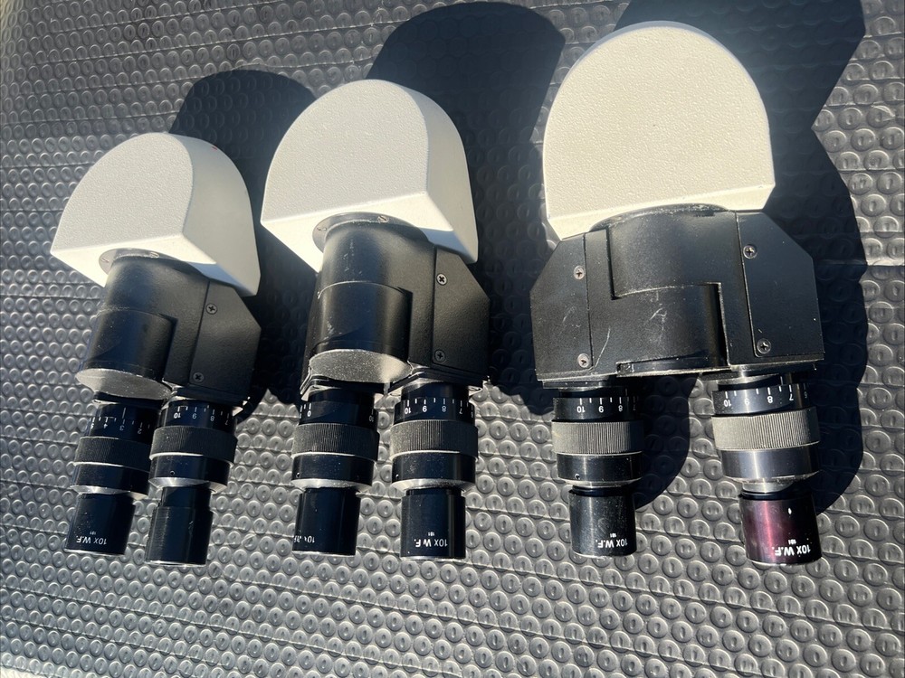 Three Binocular Microscope Head with Eyepieces 10x W.F.