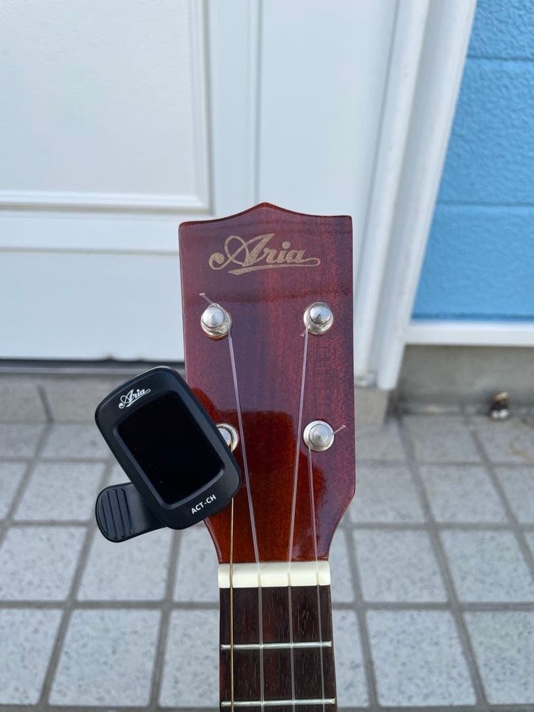 Aria ukulele with bird case