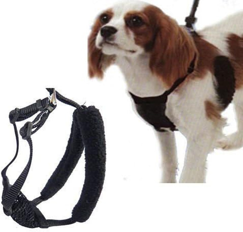 , Anti-Pull Mesh Harness, Size Small (8"-14"), Black, for Heavy to Moderate Pull