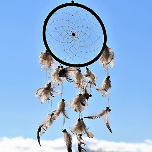 SendyFeather 200pcs 10 Style Natural Feathers Assorted Mixed Feathers for