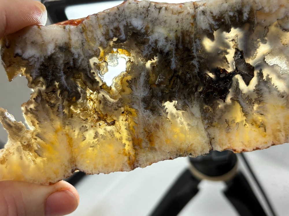 Plume Agate slab Cabbing Lapidary Combo Ship Avail Oregon