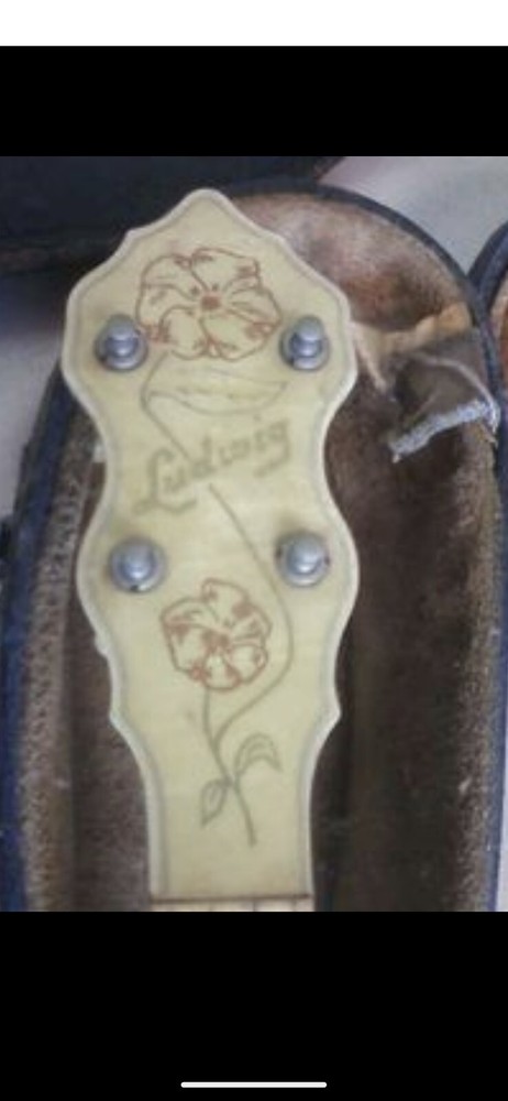 Ludwig banjo