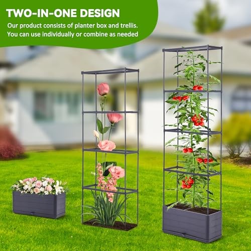 GENMOUS 2 Pack Raised Garden Bed, 4 Tier Rectangular Tomato Planter Box with
