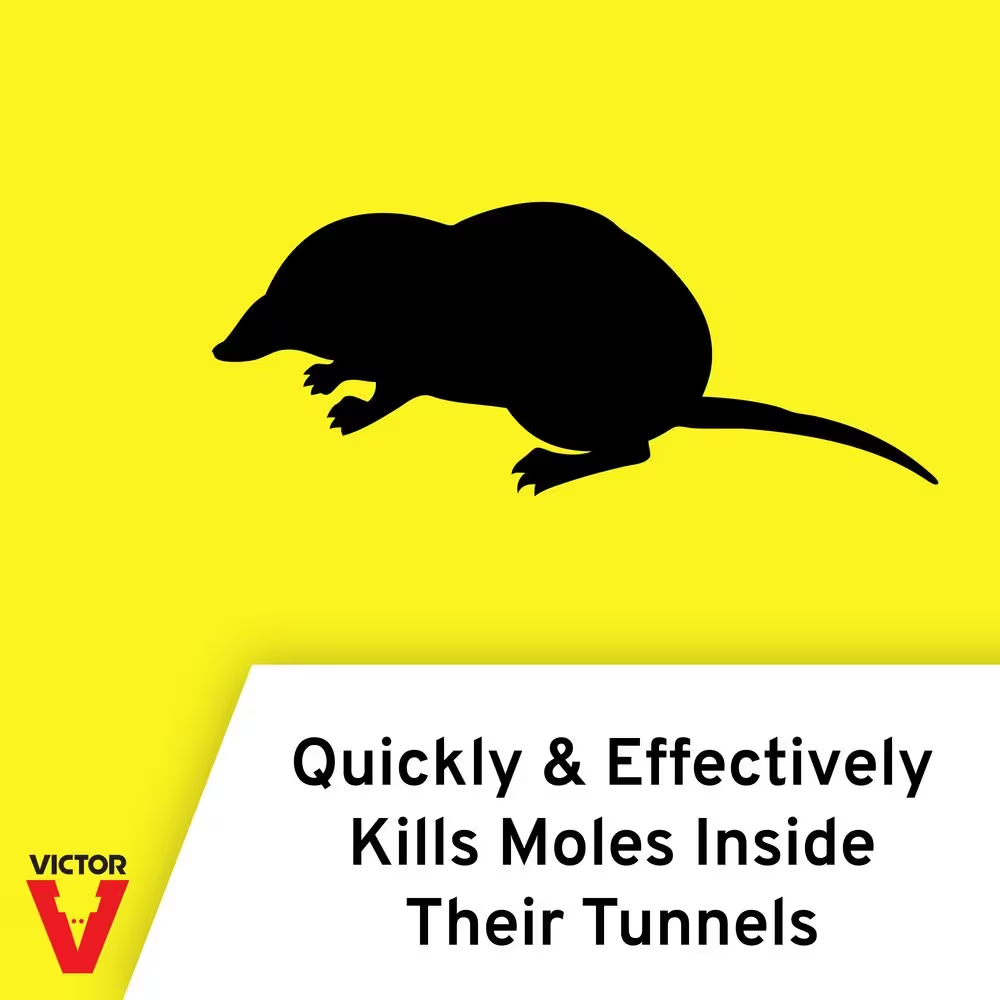 Plunger Style Mole Trap