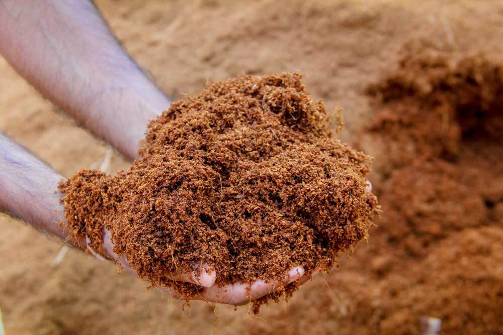 Ceylon Coco Coir Coco Peat Natural Oraganic Compost Hydroponic Growing Media