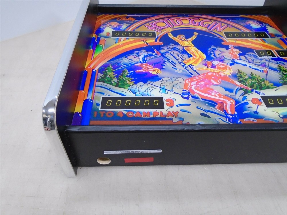 Bally Hot Doggin Pinball Head LED Display light box