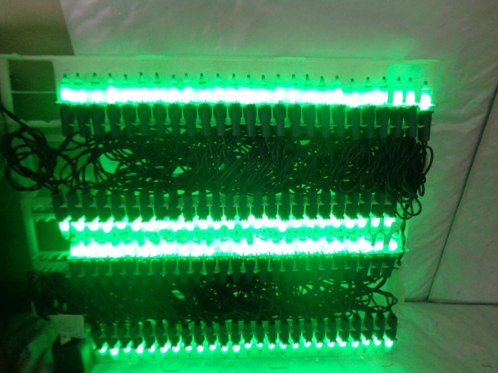 New - Crayola Favorite Colors - Forest Green - 100 String Light Set