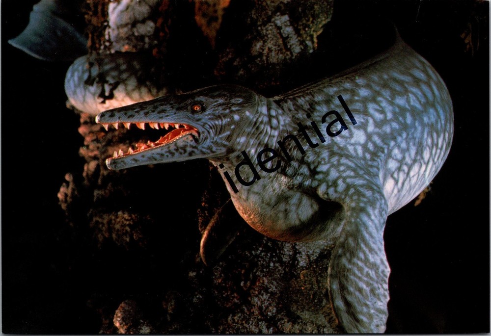 90s Basilosaurus Prehistoric Dinosaur Dino Continental Dinamation Postcard L309