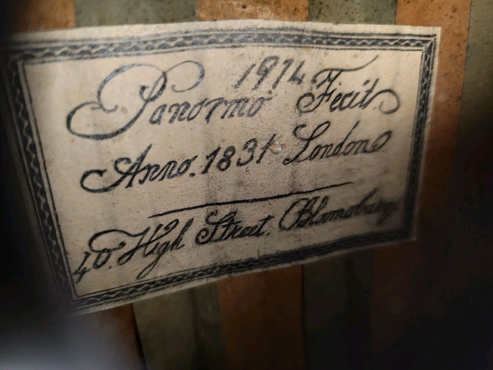 Mandolin 4/4 Panormo London 1974 曼陀林 만돌린マンドリン