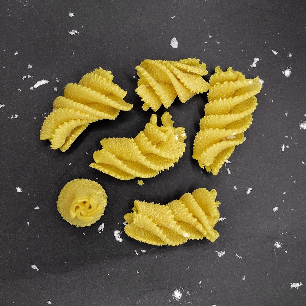 Philips Pasta Shape Discs Set: 5 Unique Attachments for Automatic Makers