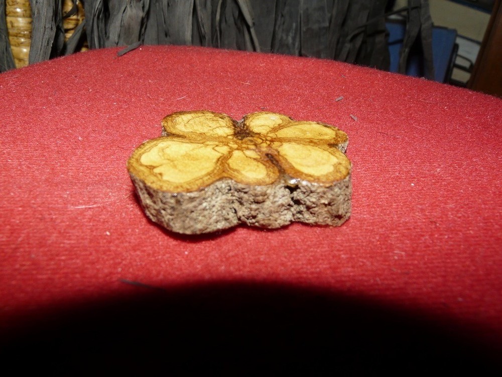 PERU AMAZON AYAHUASCA VINE SMALL CARVING CROSS SECTION