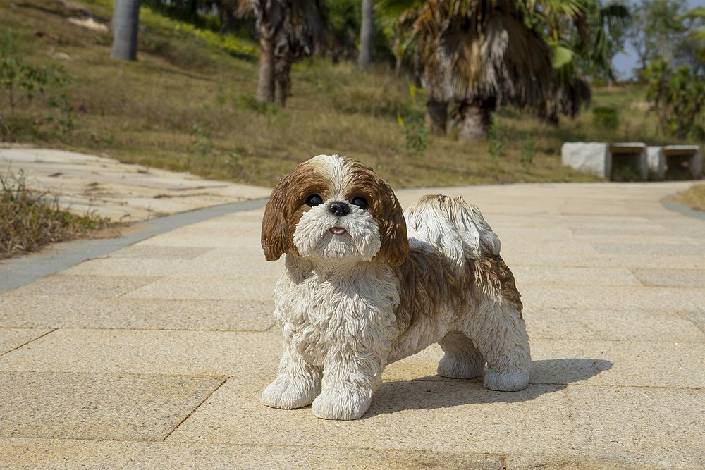 Gift Brown & White Standing Shih TZU
