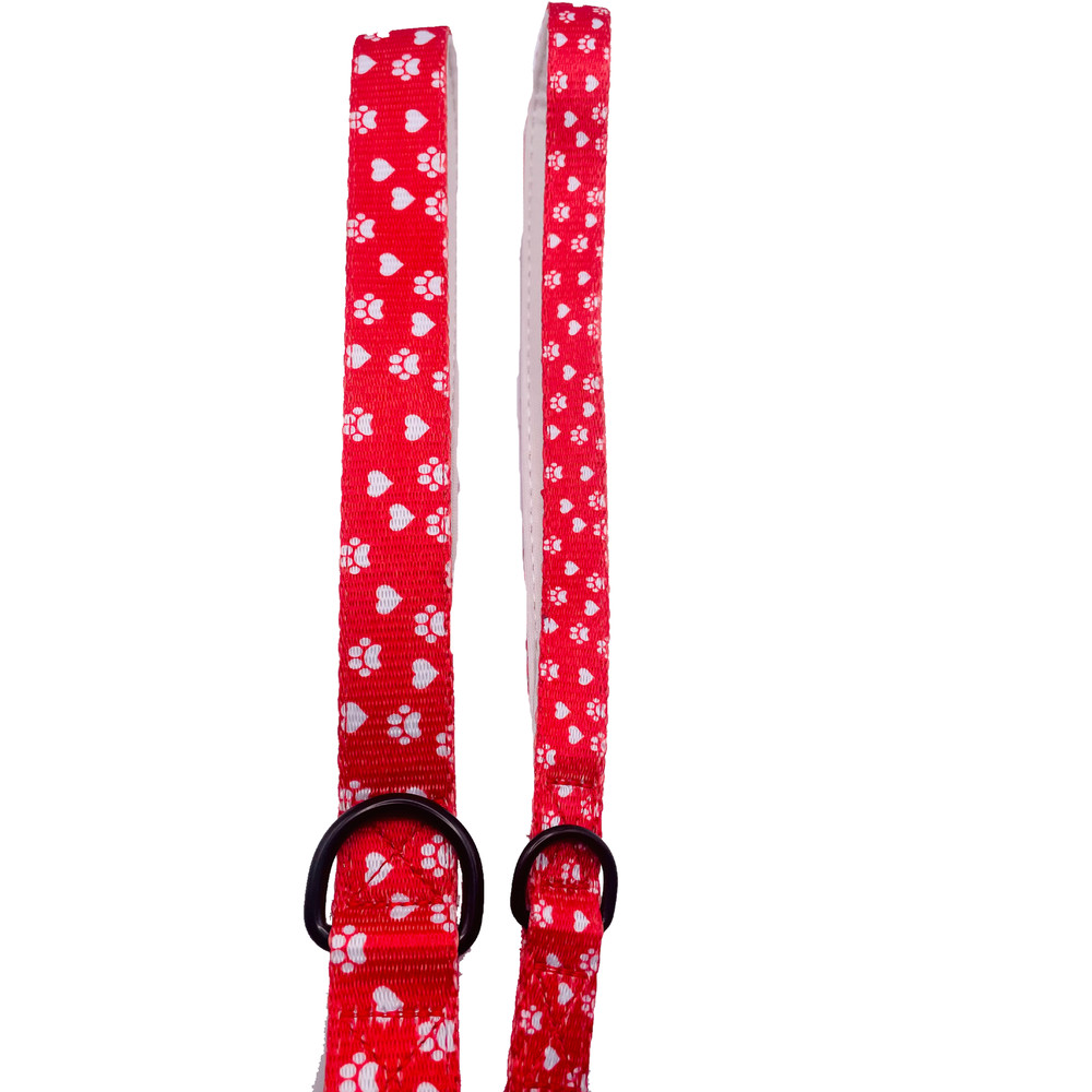 Cutie Ties Fun Design Dog Leash