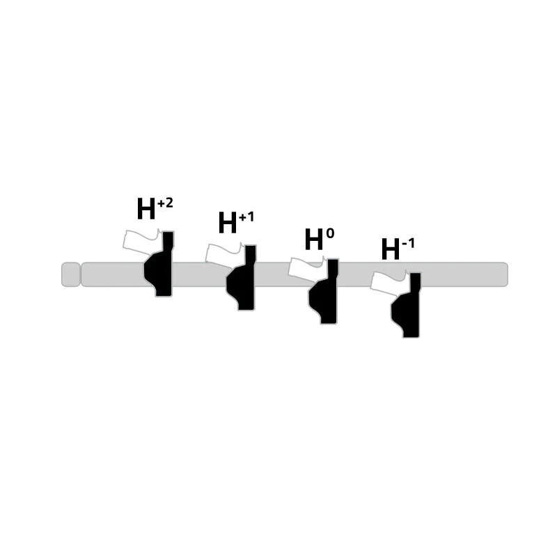 Vega- Belt Loop Rig-8K25