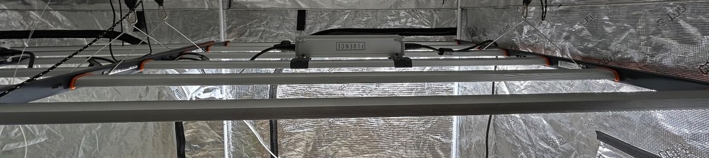 Fluence Spyder Fang 600W LED